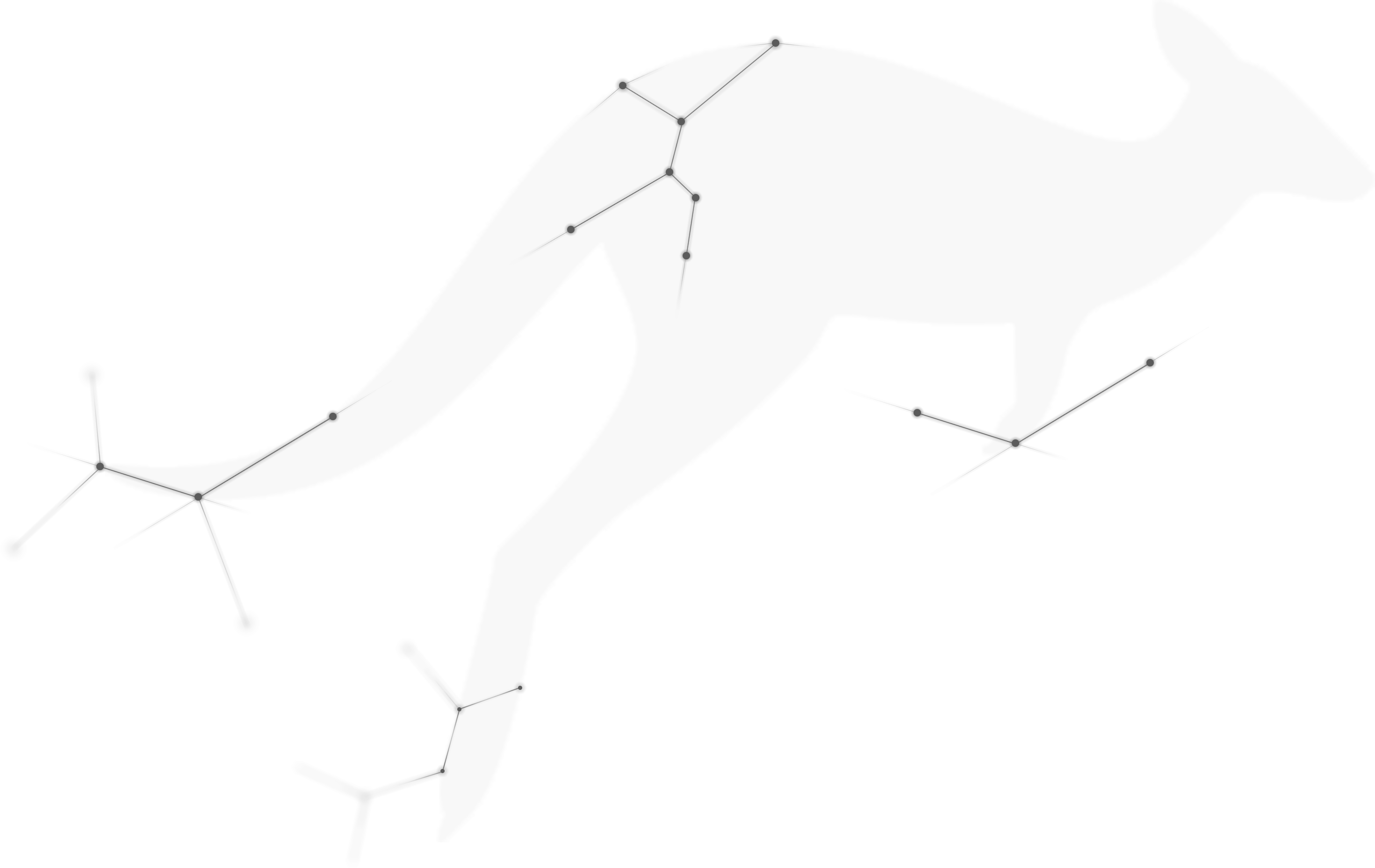 Kangaroo watermark
